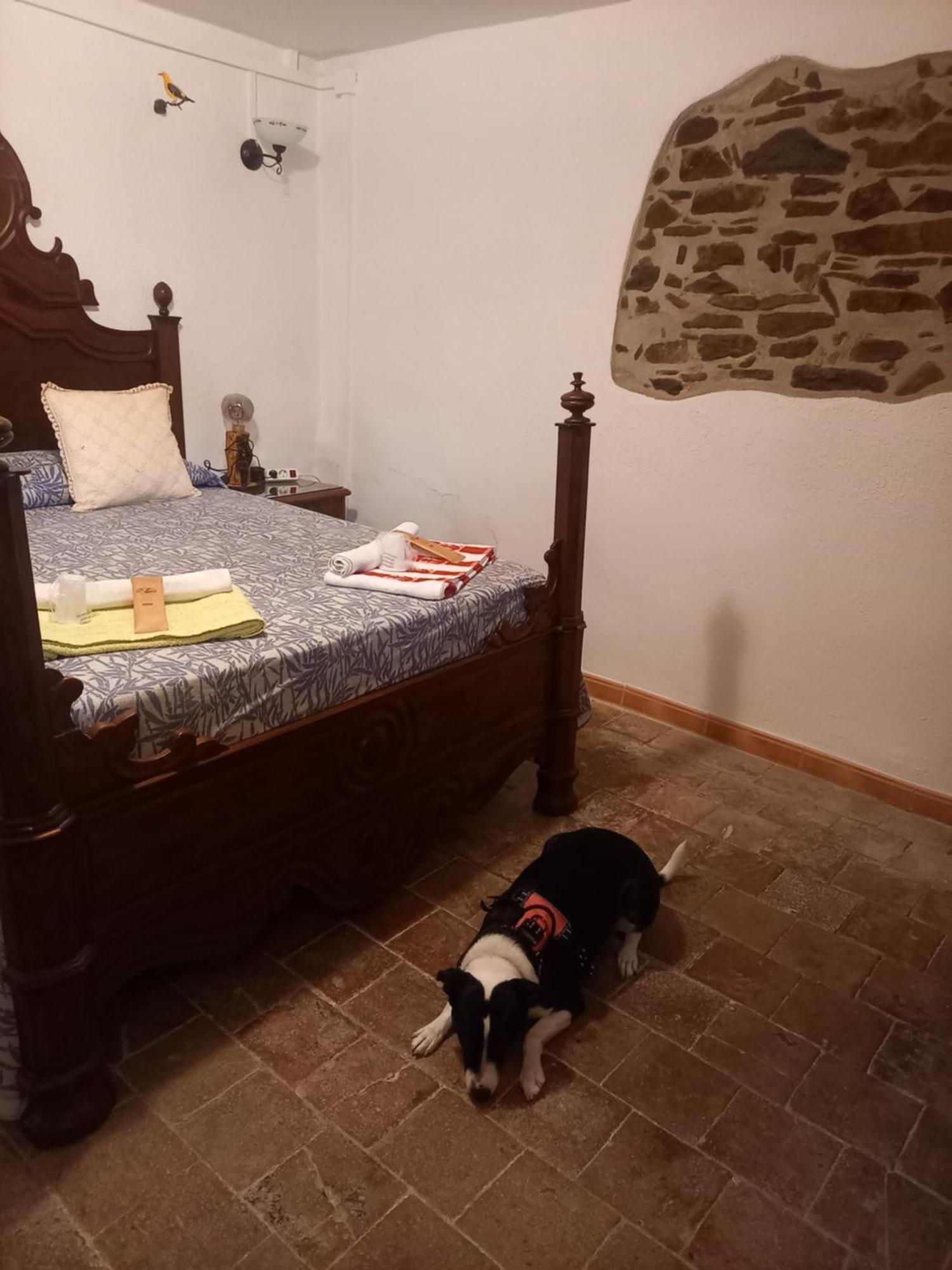Hostal Rural Mas Blanc San Martín de Centellas Eksteriør billede