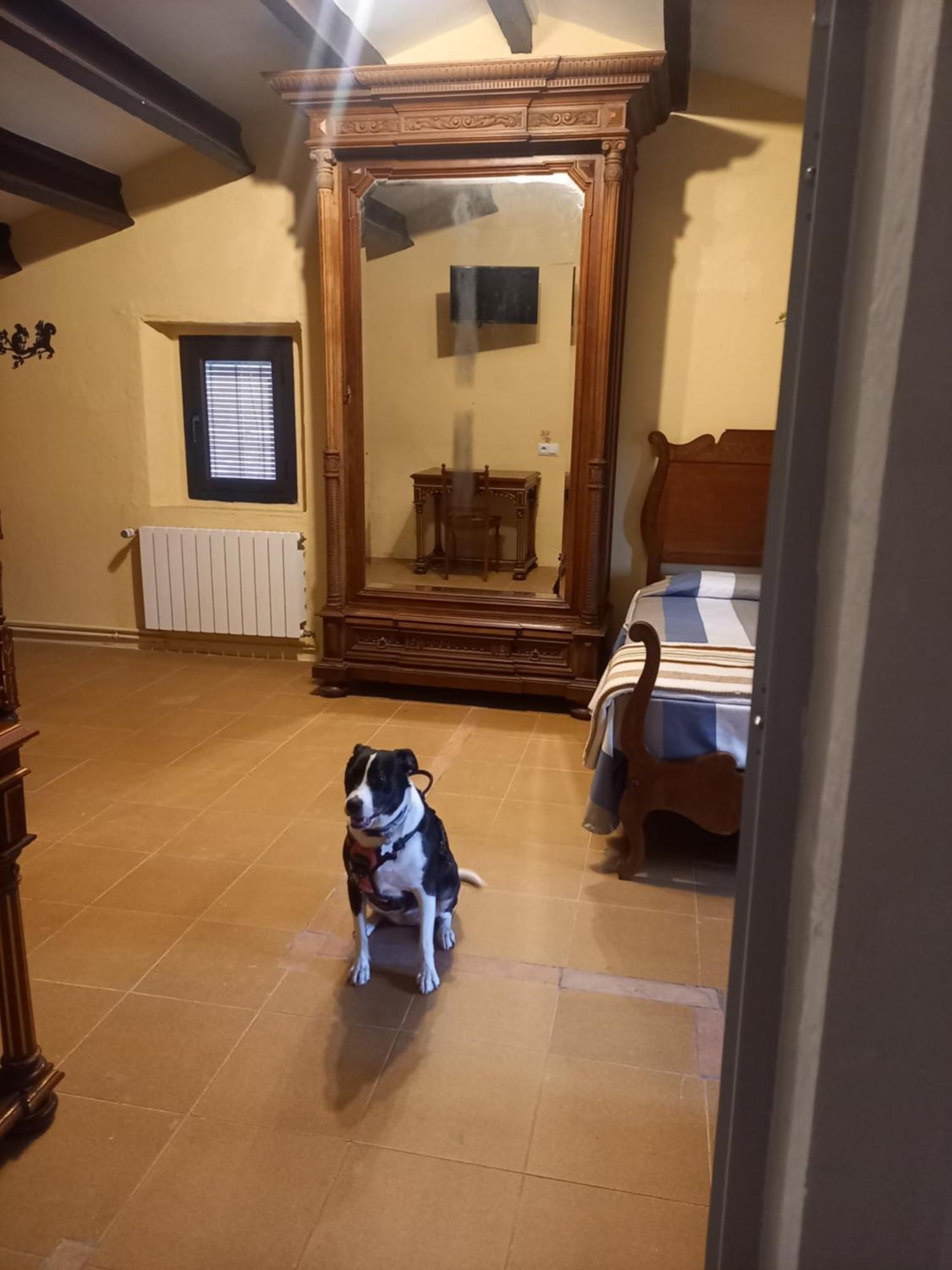 Hostal Rural Mas Blanc San Martín de Centellas Eksteriør billede