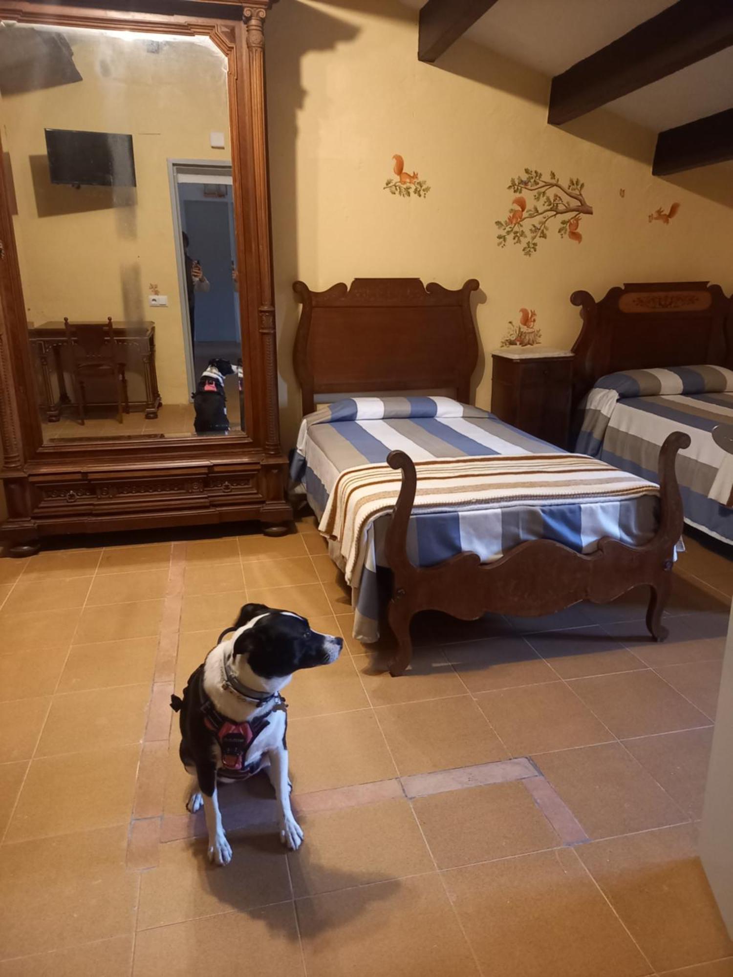 Hostal Rural Mas Blanc San Martín de Centellas Eksteriør billede