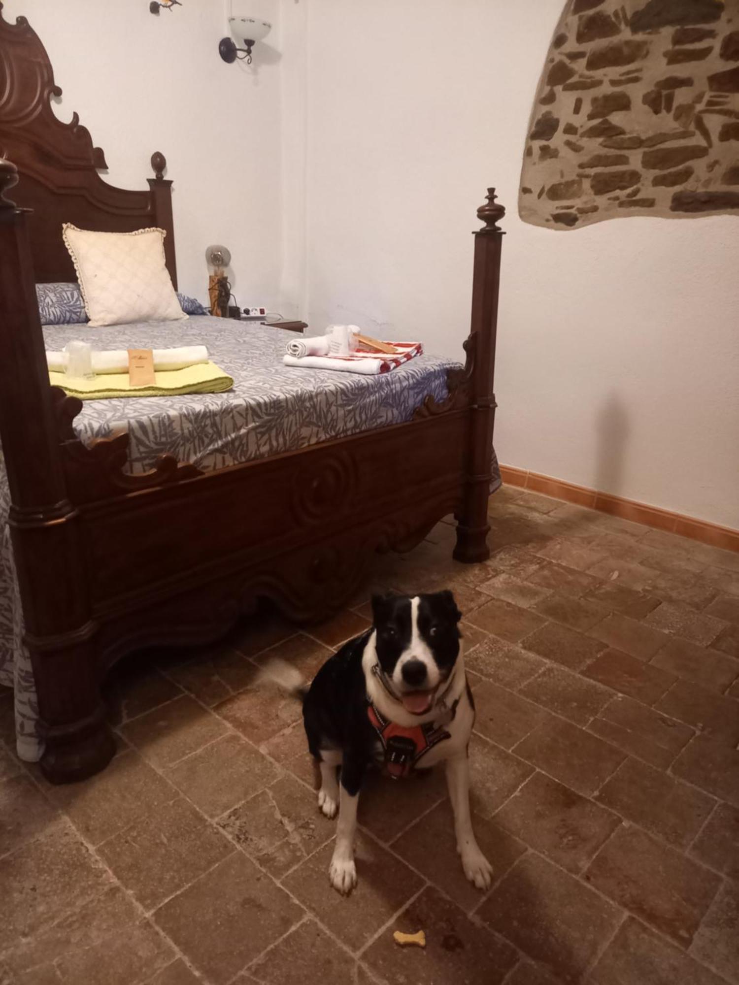 Hostal Rural Mas Blanc San Martín de Centellas Eksteriør billede