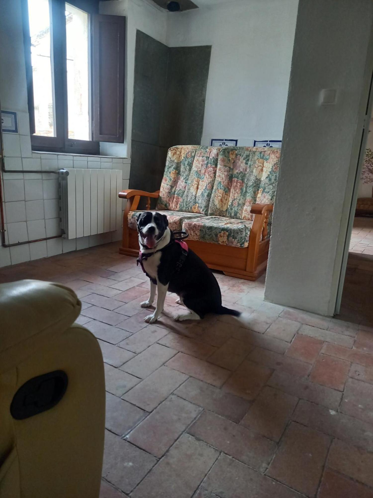 Hostal Rural Mas Blanc San Martín de Centellas Eksteriør billede